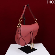 Christian Dior Saddle Bags